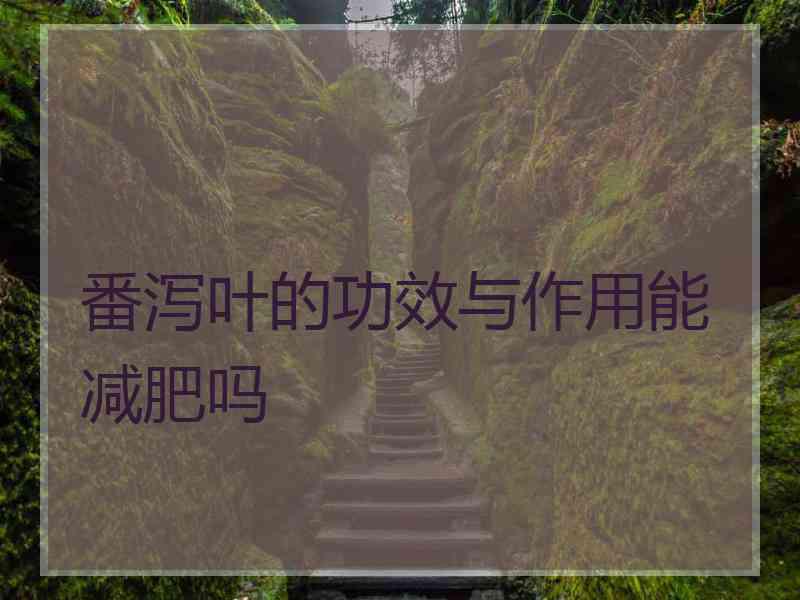 番泻叶的功效与作用能减肥吗