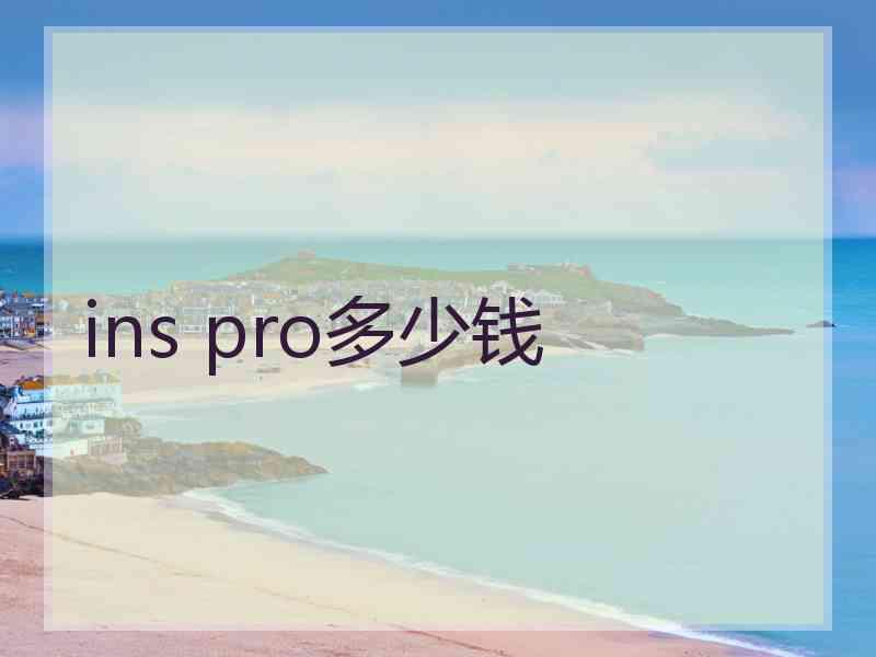 ins pro多少钱