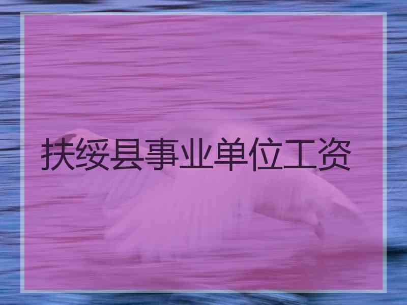 扶绥县事业单位工资