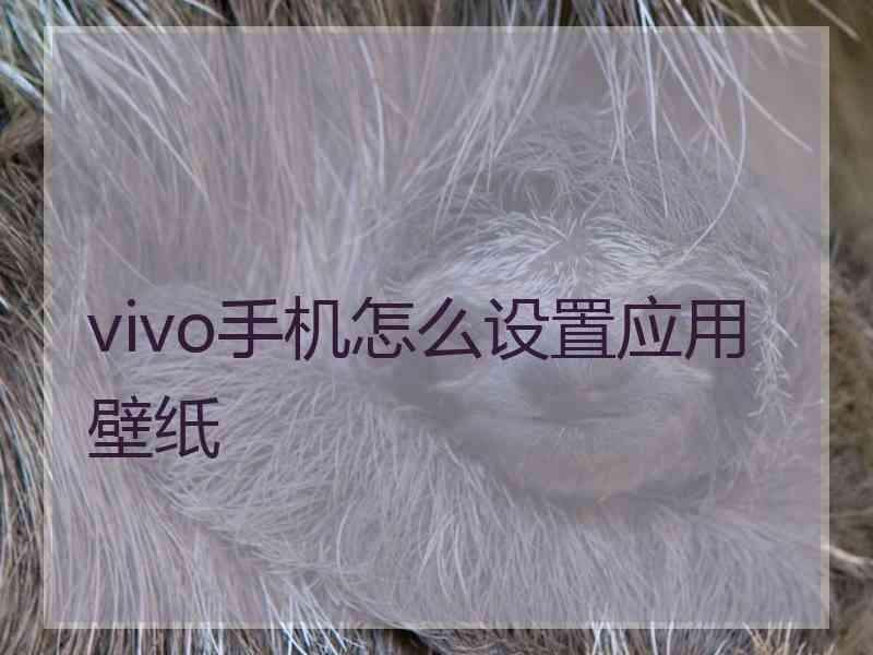 vivo手机怎么设置应用壁纸