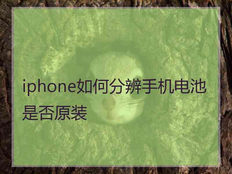 iphone如何分辨手机电池是否原装