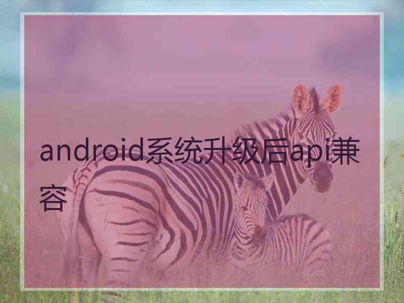 android系统升级后api兼容