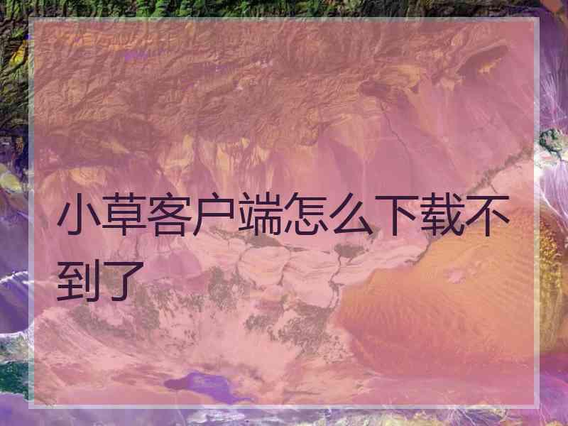 小草客户端怎么下载不到了