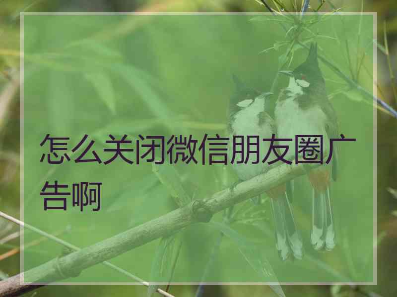 怎么关闭微信朋友圈广告啊