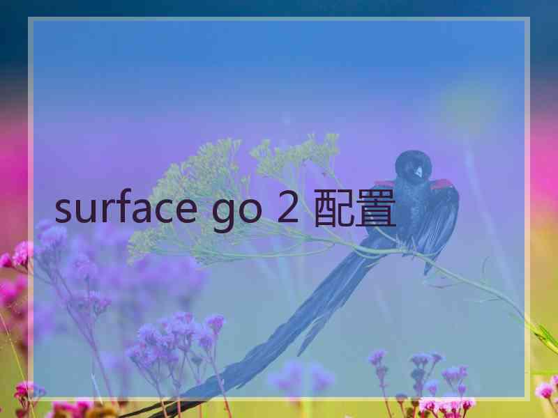 surface go 2 配置