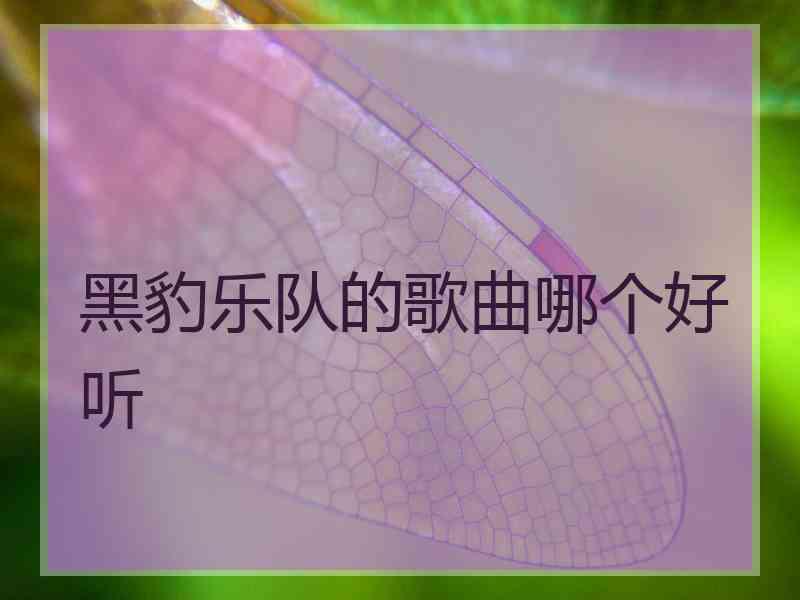 黑豹乐队的歌曲哪个好听