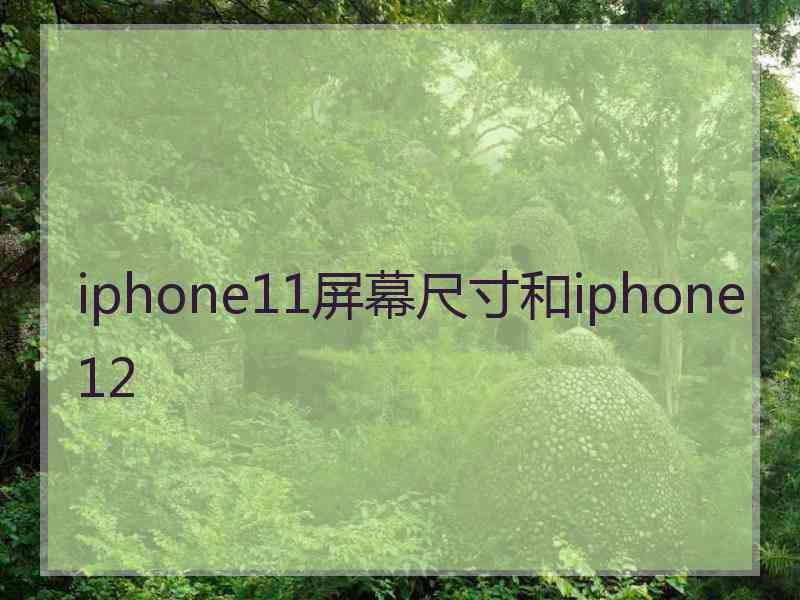 iphone11屏幕尺寸和iphone12