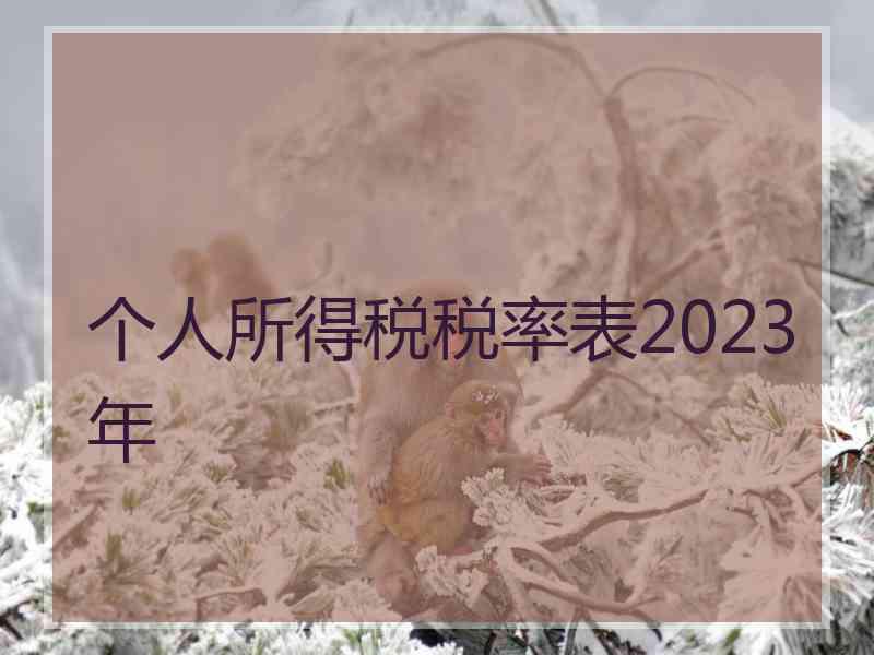 个人所得税税率表2023年