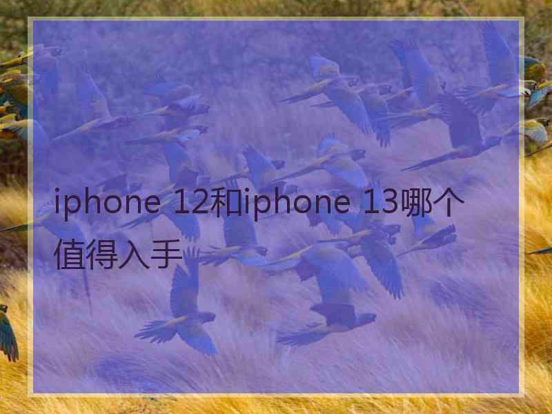 iphone 12和iphone 13哪个值得入手