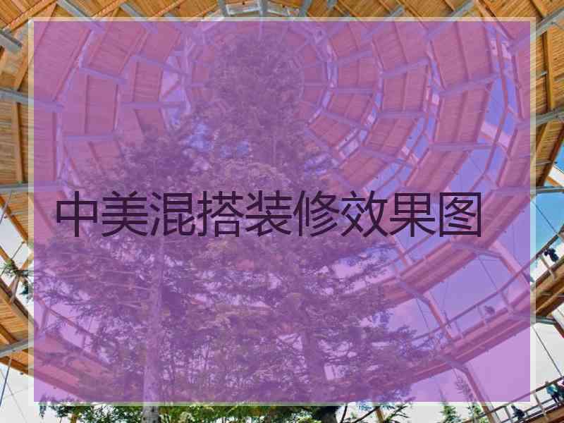 中美混搭装修效果图