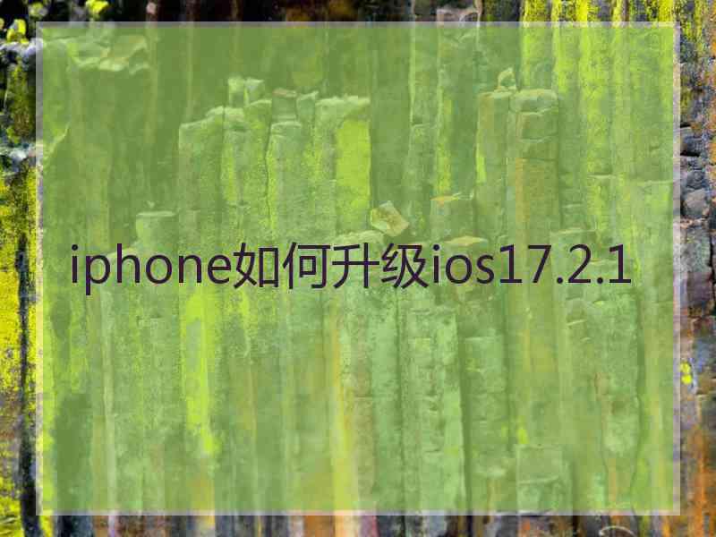 iphone如何升级ios17.2.1