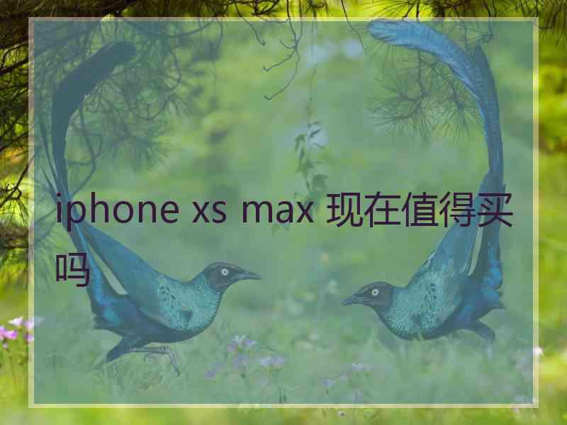 iphone xs max 现在值得买吗