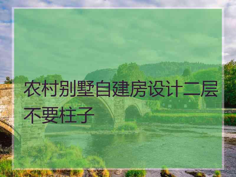 农村别墅自建房设计二层不要柱子