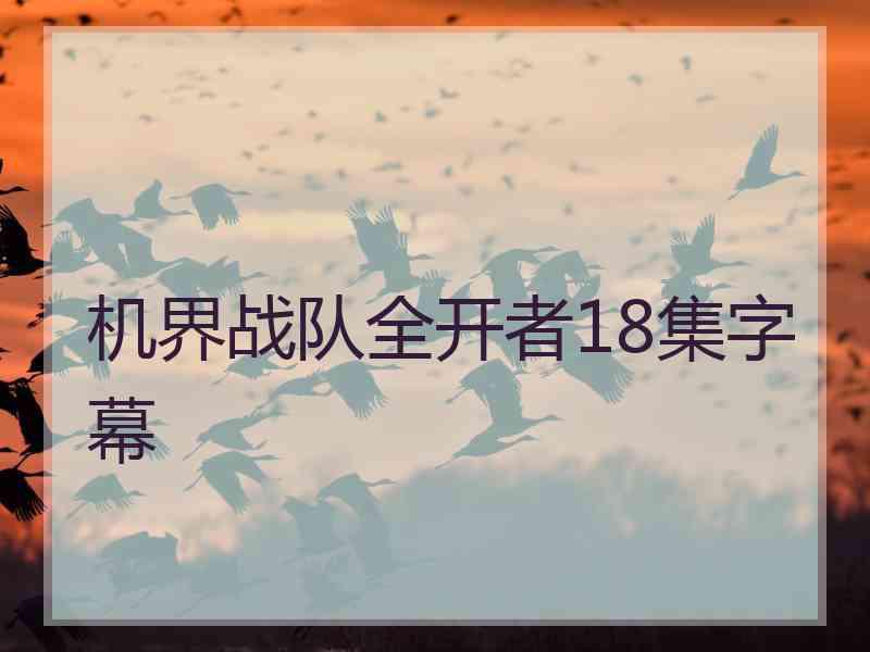 机界战队全开者18集字幕