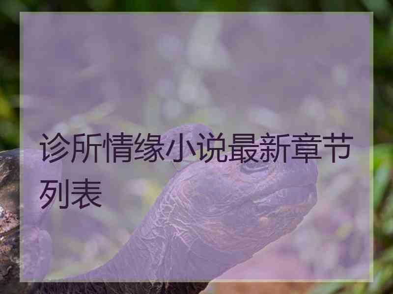 诊所情缘小说最新章节列表