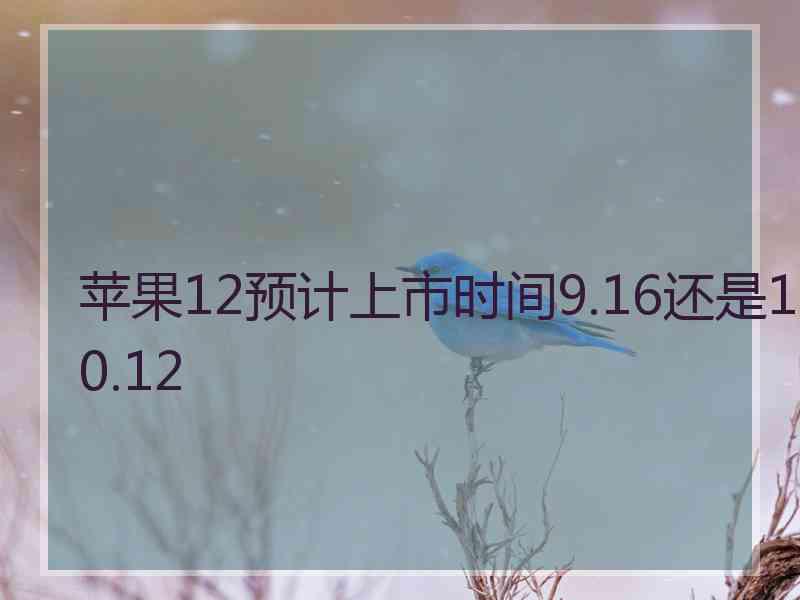 苹果12预计上市时间9.16还是10.12