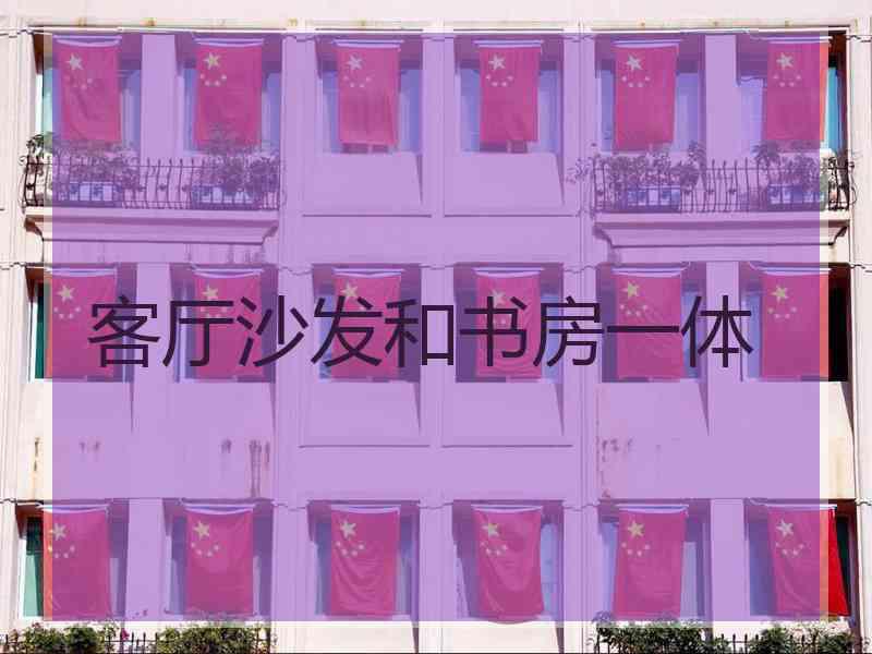 客厅沙发和书房一体