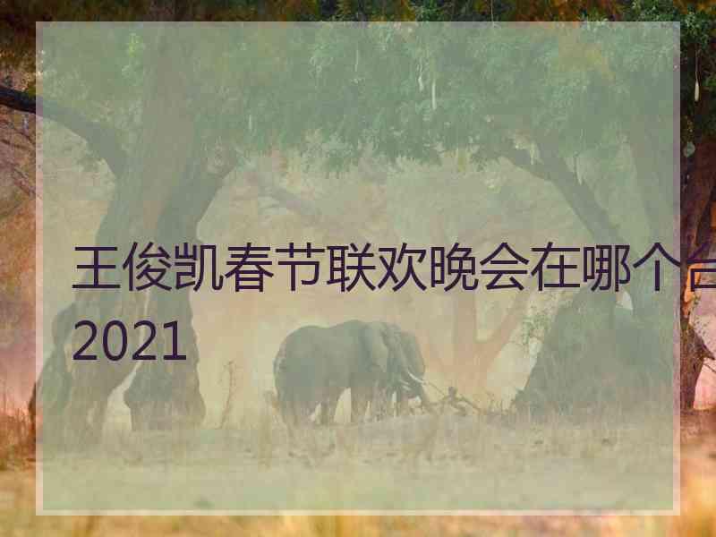 王俊凯春节联欢晚会在哪个台2021