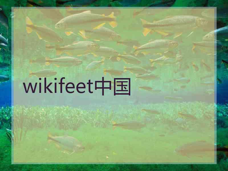 wikifeet中国
