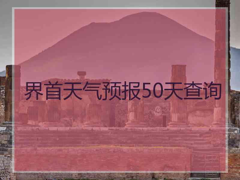 界首天气预报50天查询