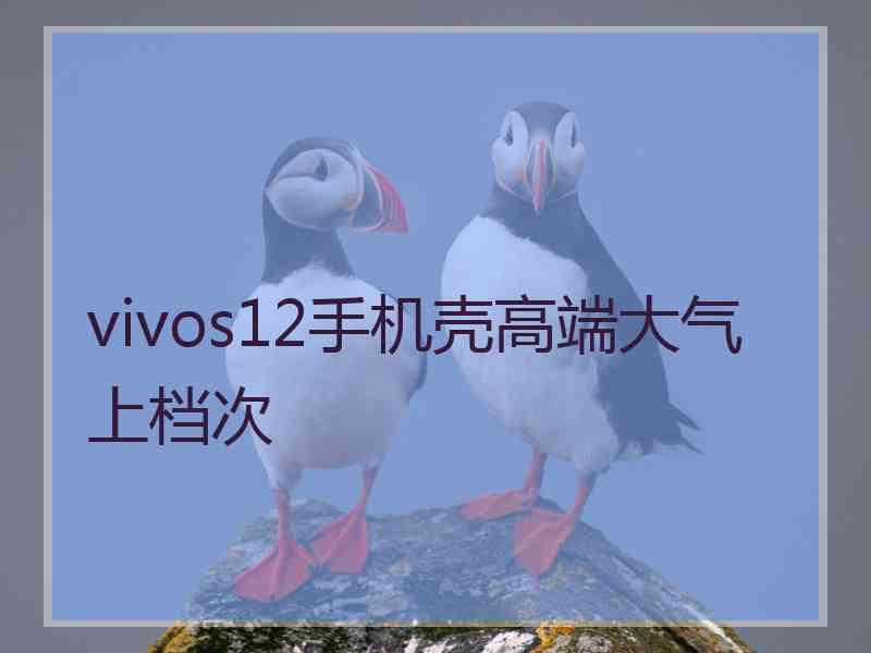 vivos12手机壳高端大气上档次