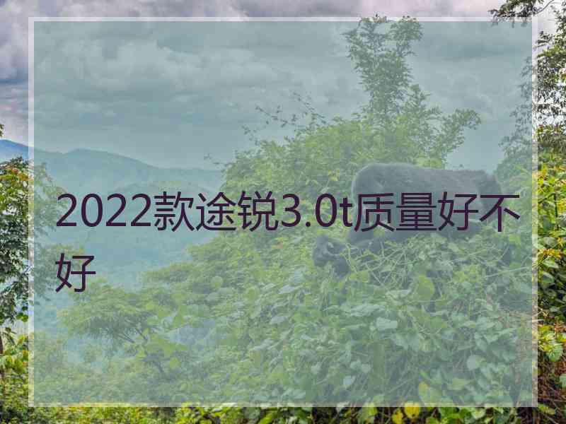 2022款途锐3.0t质量好不好