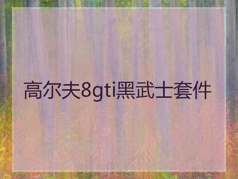 高尔夫8gti黑武士套件