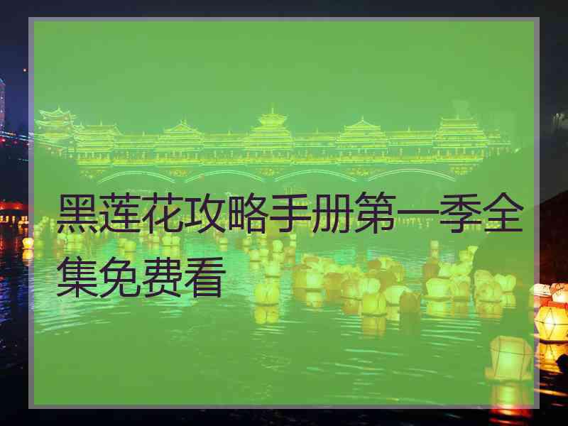 黑莲花攻略手册第一季全集免费看