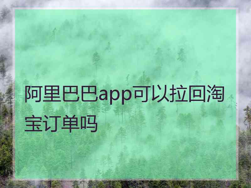 阿里巴巴app可以拉回淘宝订单吗