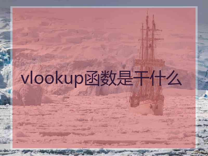 vlookup函数是干什么