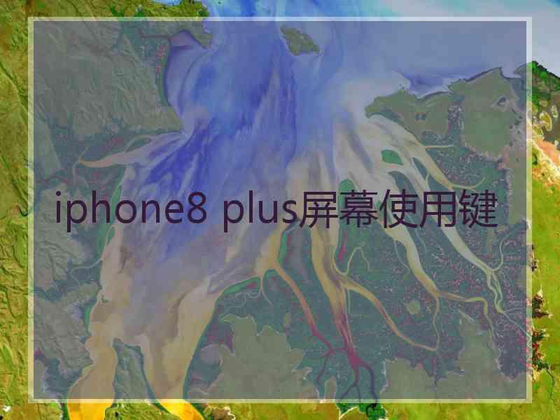 iphone8 plus屏幕使用键