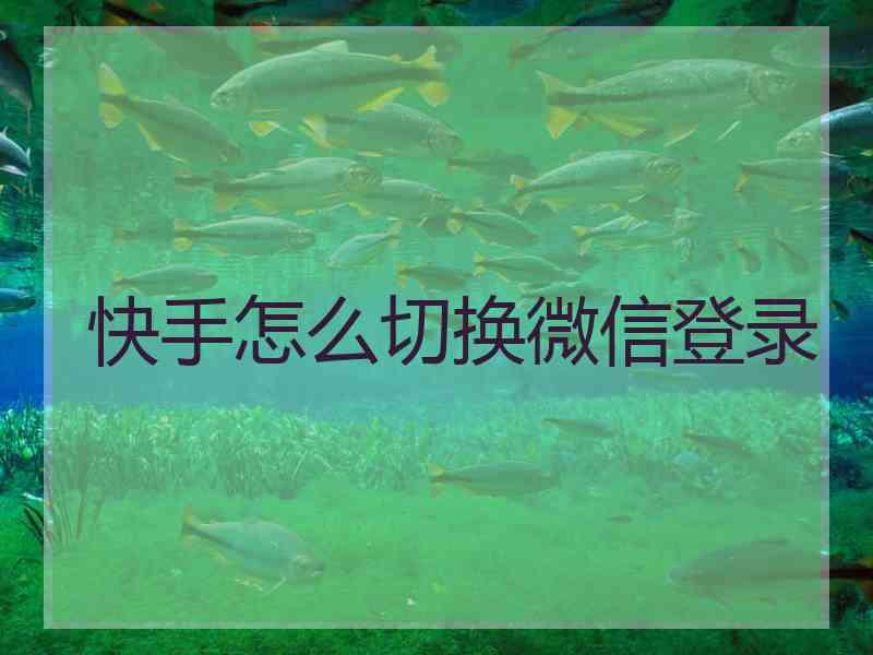 快手怎么切换微信登录