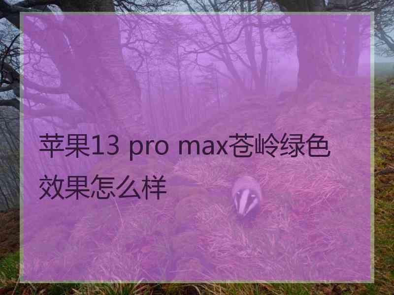 苹果13 pro max苍岭绿色效果怎么样