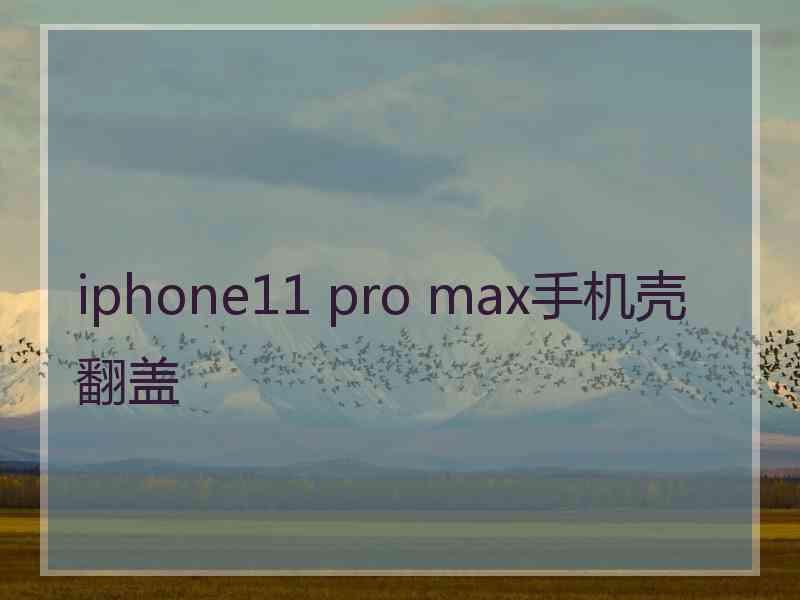 iphone11 pro max手机壳翻盖