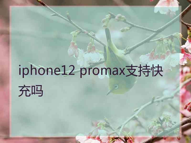 iphone12 promax支持快充吗