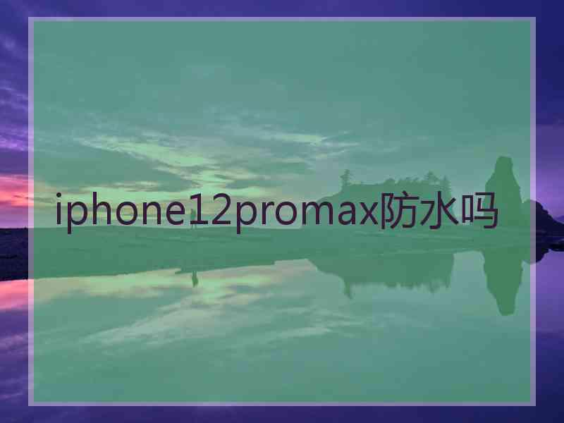 iphone12promax防水吗