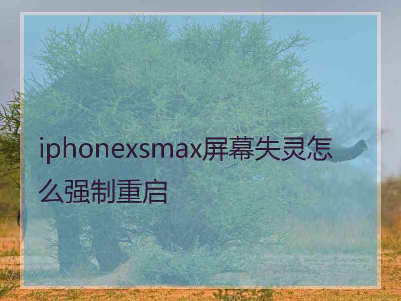 iphonexsmax屏幕失灵怎么强制重启