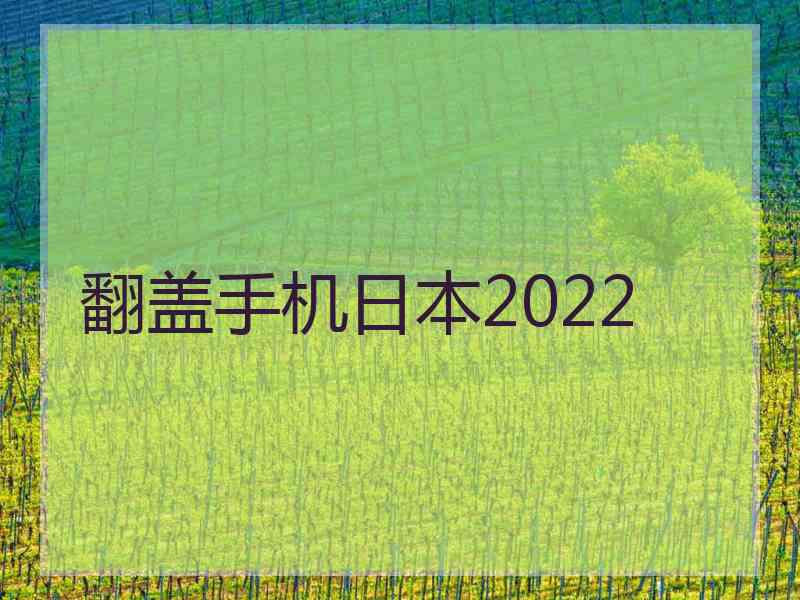 翻盖手机日本2022