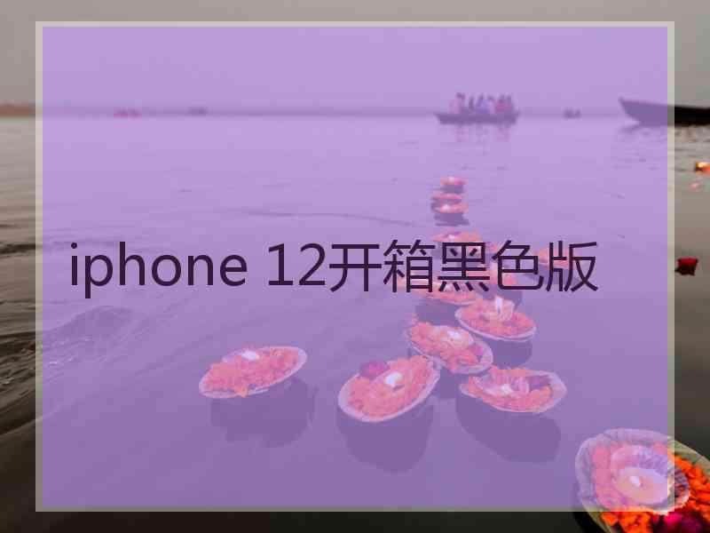 iphone 12开箱黑色版