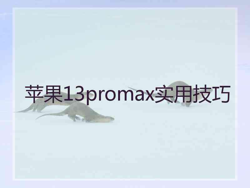 苹果13promax实用技巧