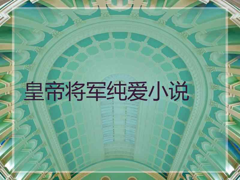 皇帝将军纯爱小说