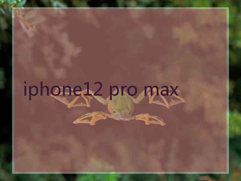 iphone12 pro max