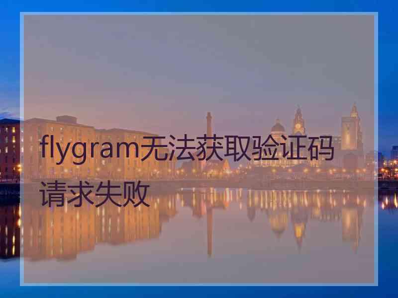 flygram无法获取验证码请求失败