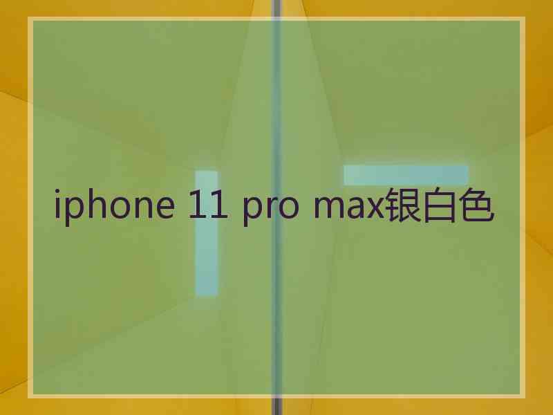 iphone 11 pro max银白色