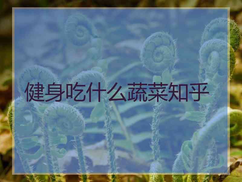 健身吃什么蔬菜知乎