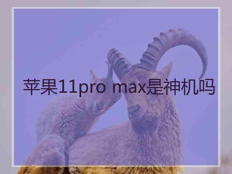 苹果11pro max是神机吗