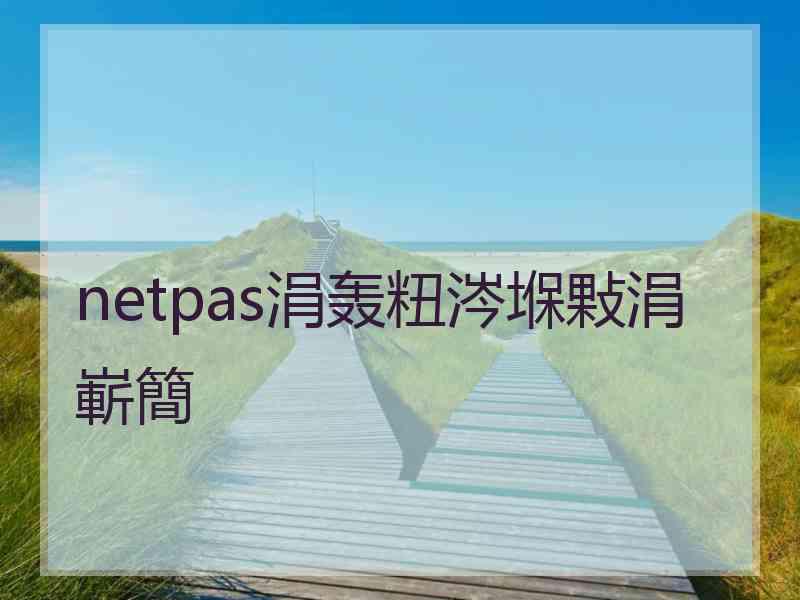 netpas涓轰粈涔堢敤涓嶄簡