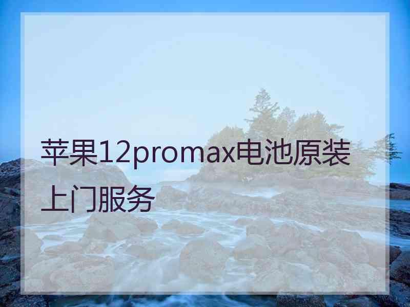 苹果12promax电池原装上门服务