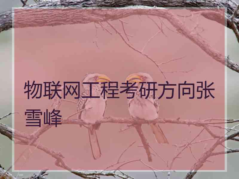 物联网工程考研方向张雪峰