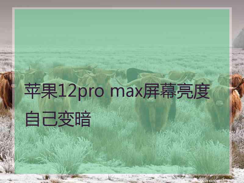 苹果12pro max屏幕亮度自己变暗